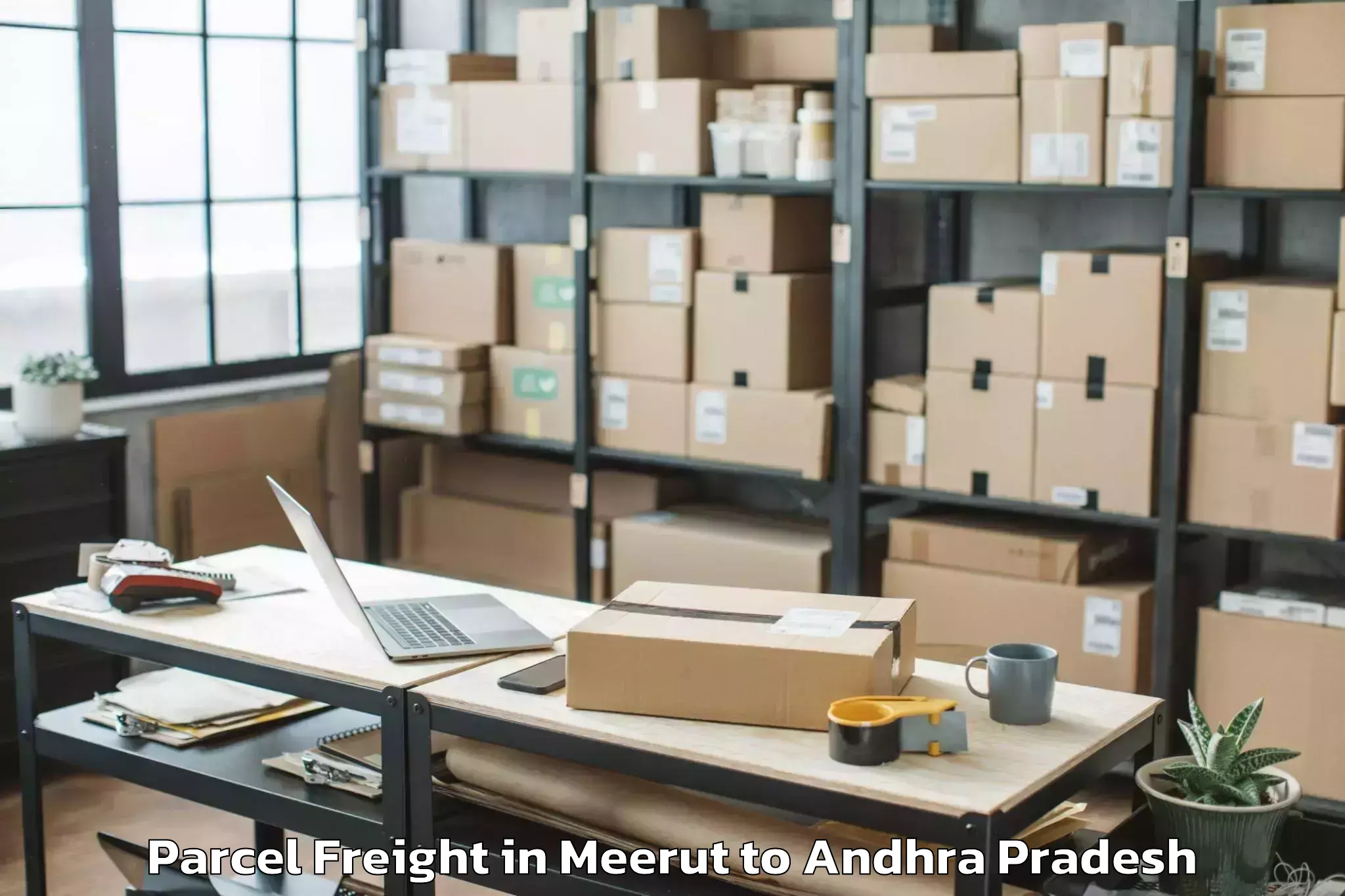 Professional Meerut to Janakavaram Panguluru Parcel Freight